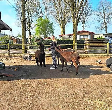 Ben's - De Hollandse Boerderij ホテル